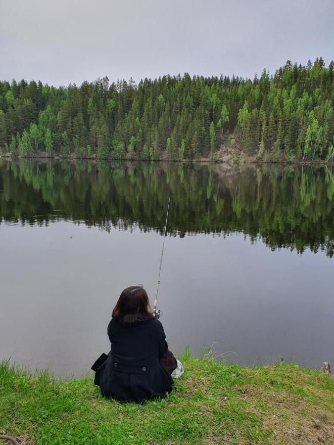 Hotell Indalsleden Bispgarden Bagian luar foto