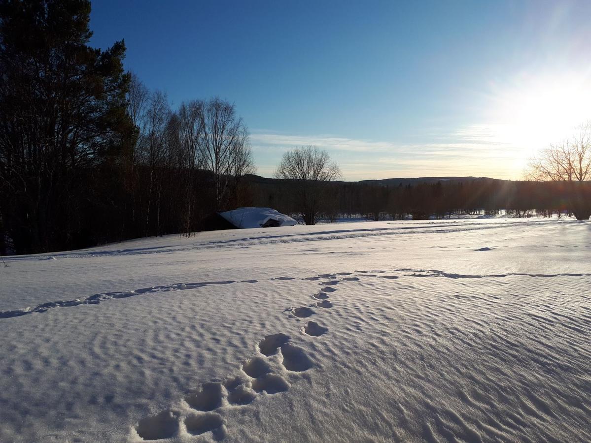 Hotell Indalsleden Bispgarden Bagian luar foto